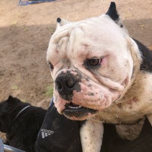 Meet your Posher, Omar